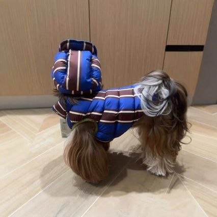 Mignon et chaud en coton rembourré avec un chapeau pour chiens et chats