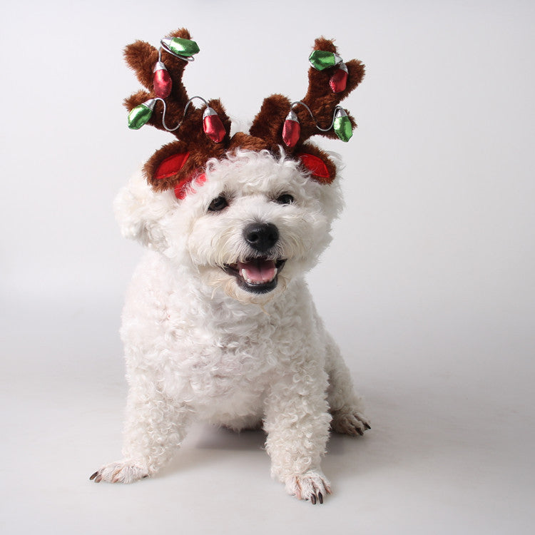 Accessoires pour animaux de compagnie Chapeau de chien de Noël
