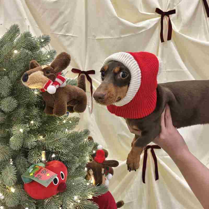 Chapeau Dachshund pour robe de Noël