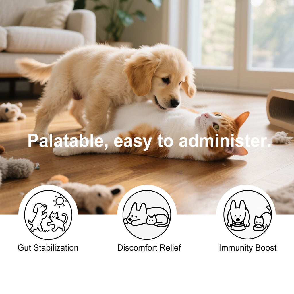 Poudre de nettoyage des dents des animaux de compagnie