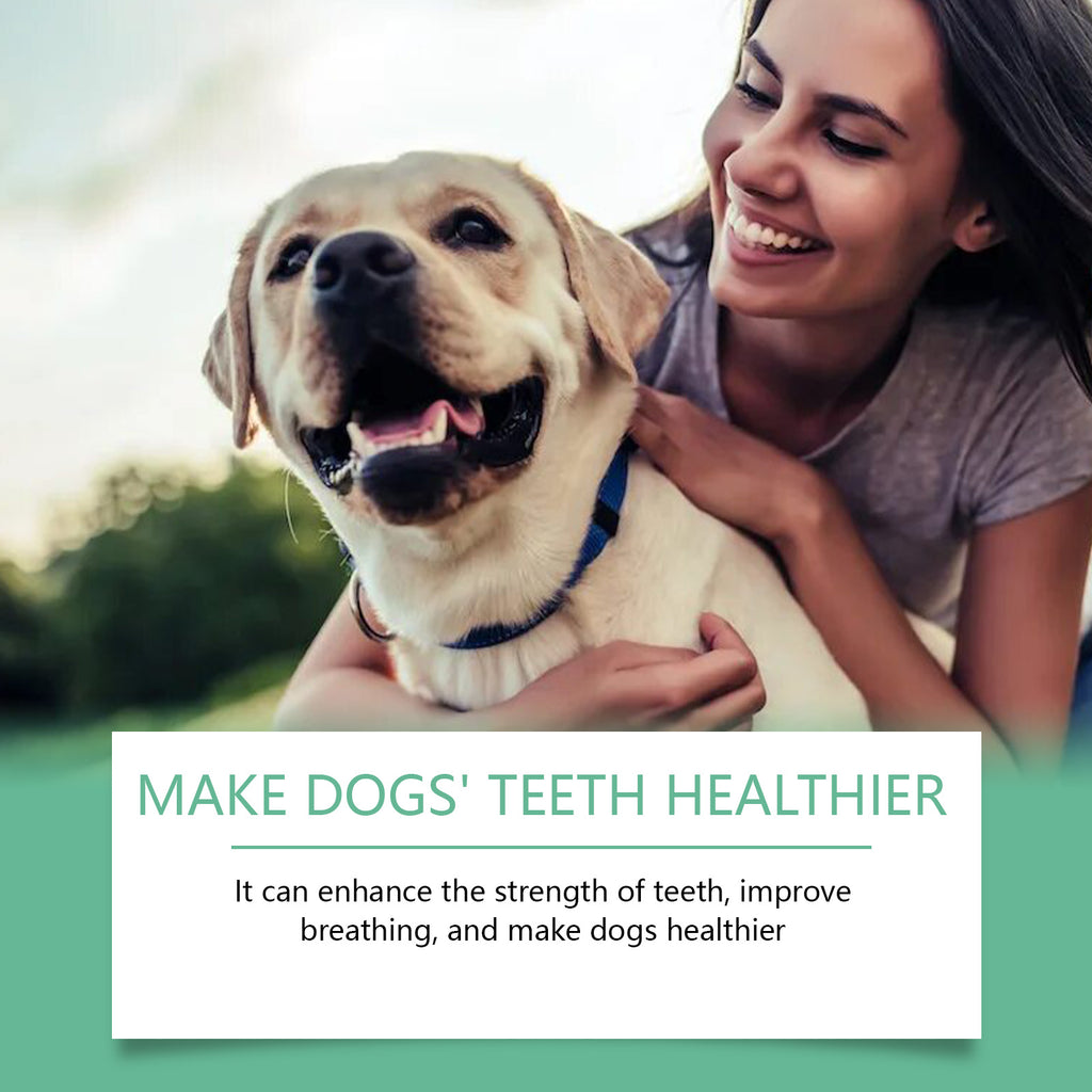 Poudre de nettoyage de dents de chien