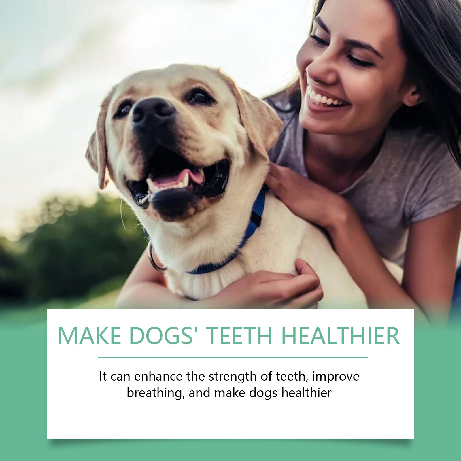Poudre de nettoyage de dents de chien