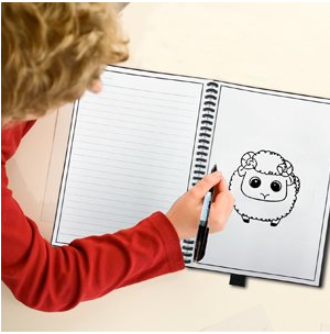 Carnet de papier réinscriptible