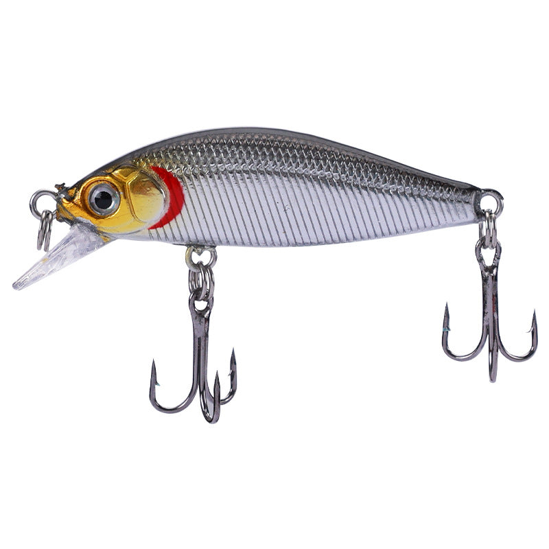 Pêche en eau douce Cockroach Bass Blackfish Bait