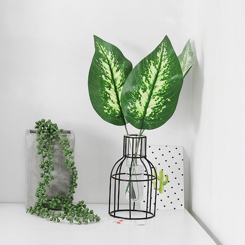 Plante de simulation des feuilles de tortue