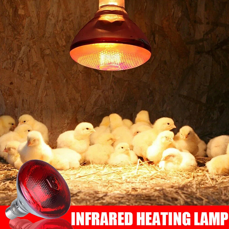 Lampe de chauffage infrarouge pour l'élevage
