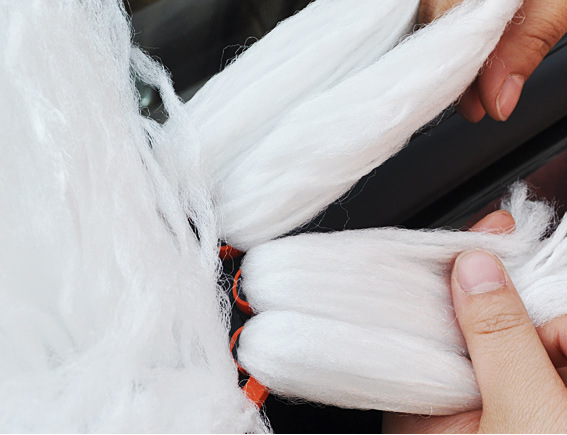 Brosse de lavage de voiture