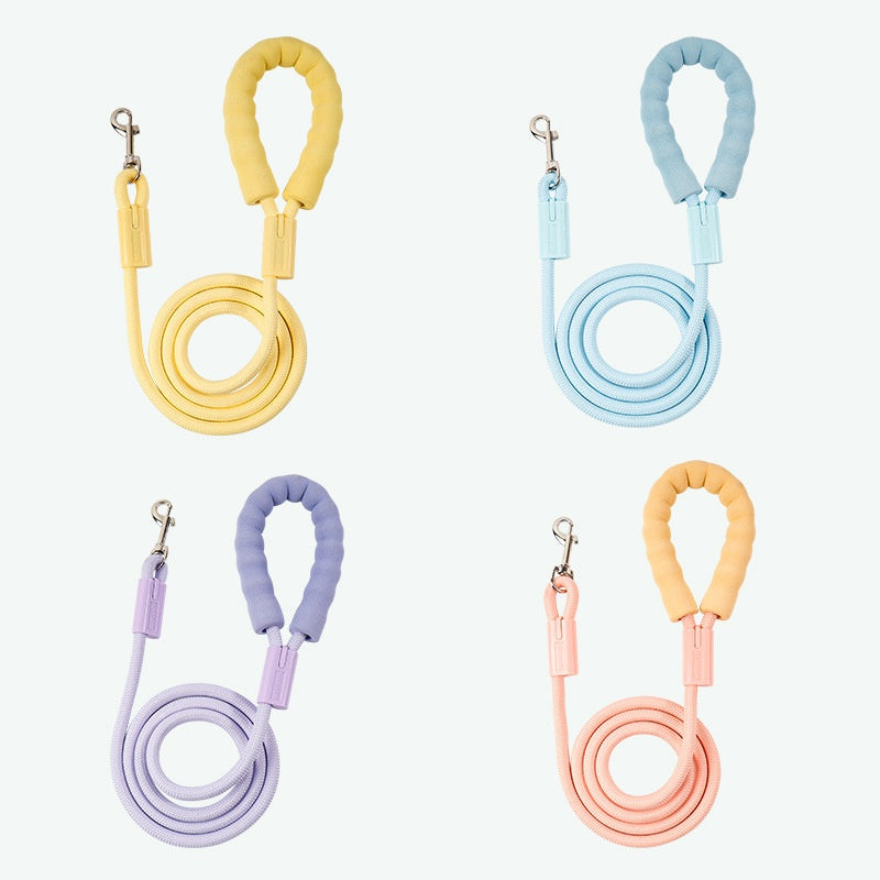 Pet Hand Holding Rope
