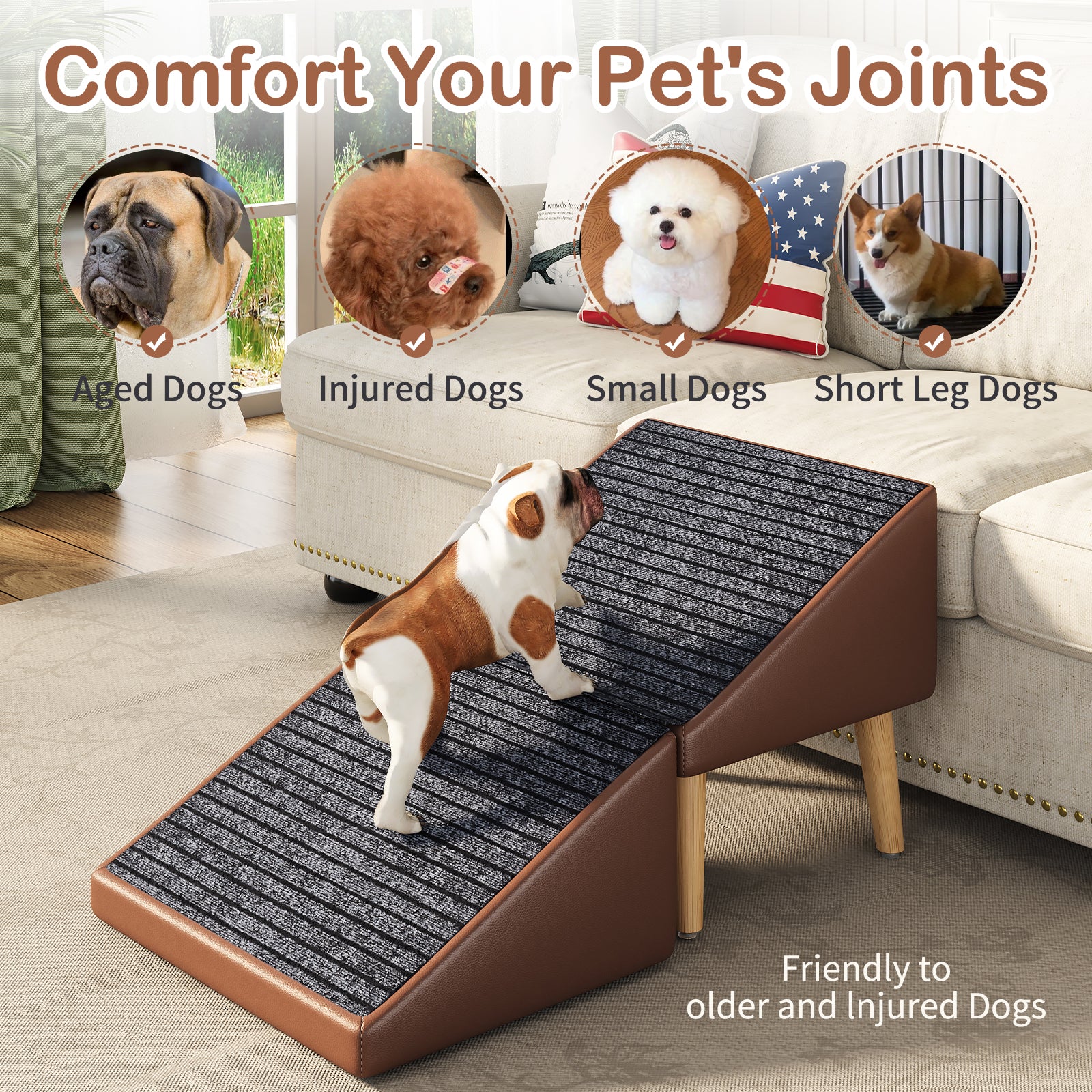 3-en-1 Dog Ramp 18.89"×17.91"×20.08" avec stockage – Étables pour chiens âgés et blessés &