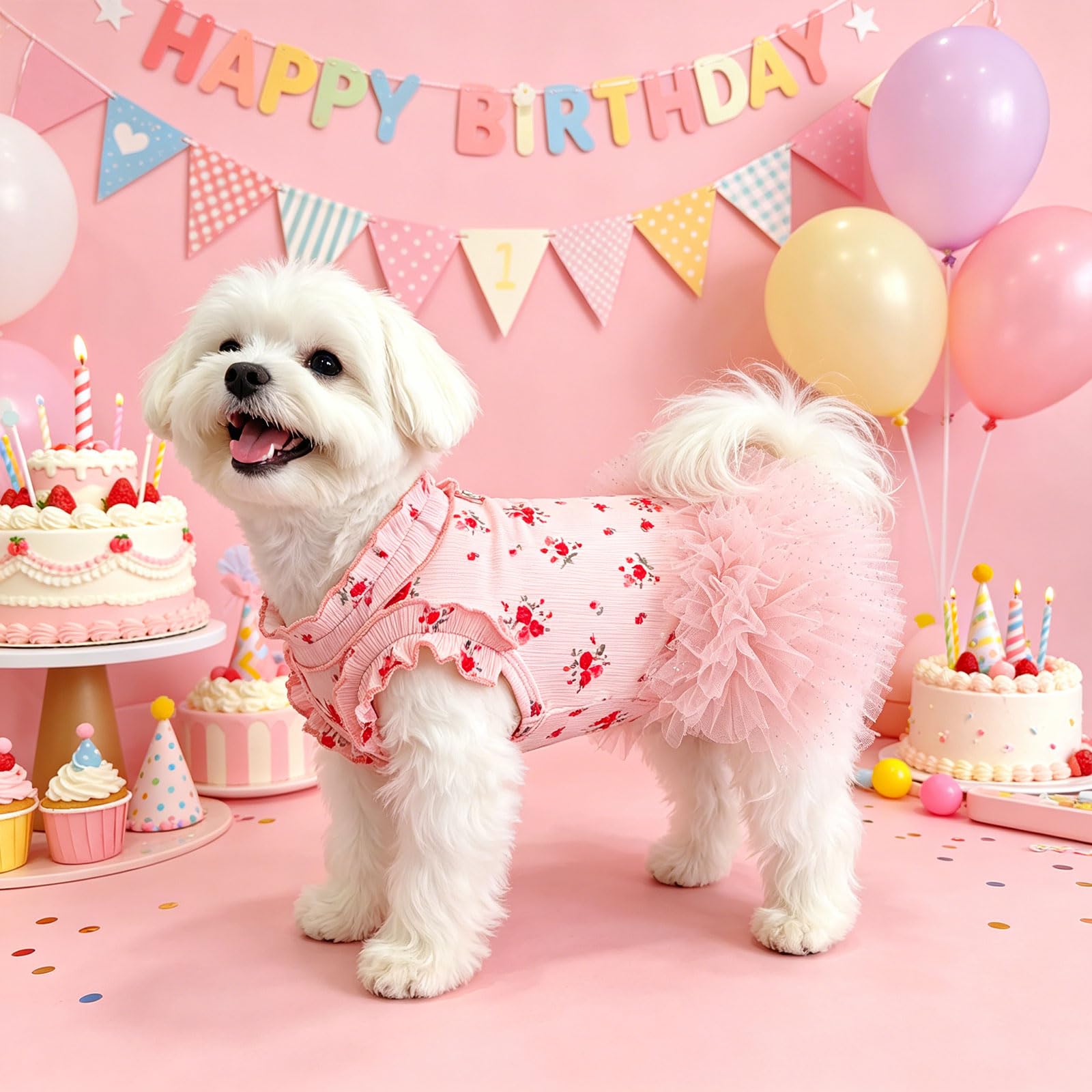 Robes de chien pour petits chiens fille