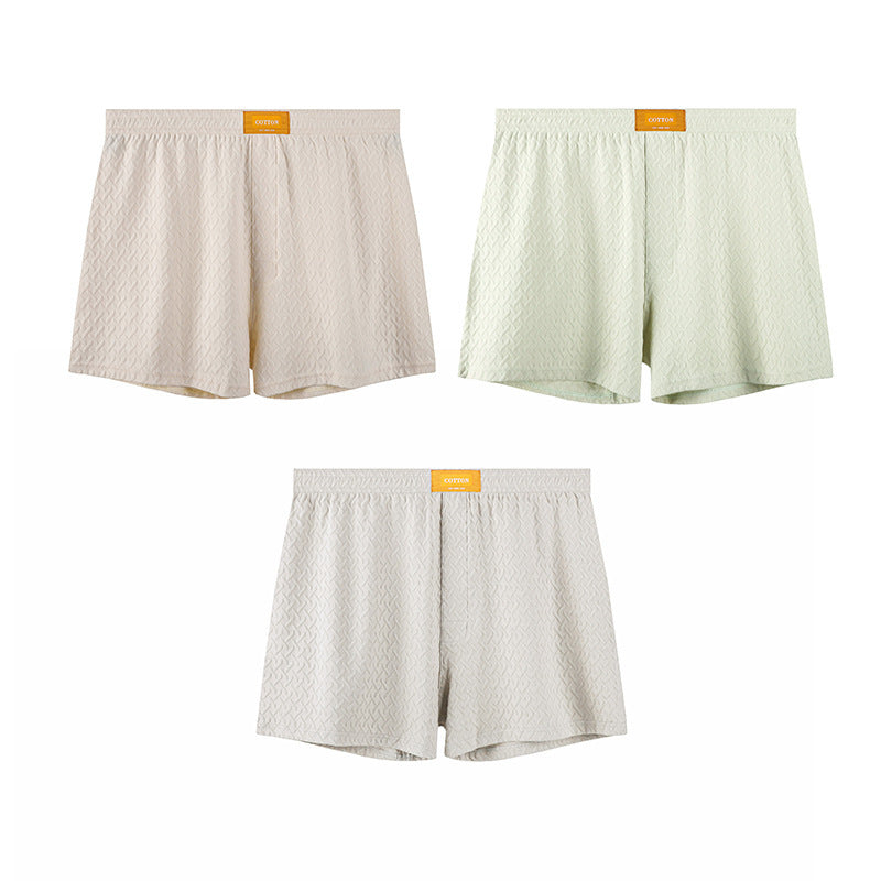 Hommes Solide-couleur Taille moyenne Texturé Boxer Slips