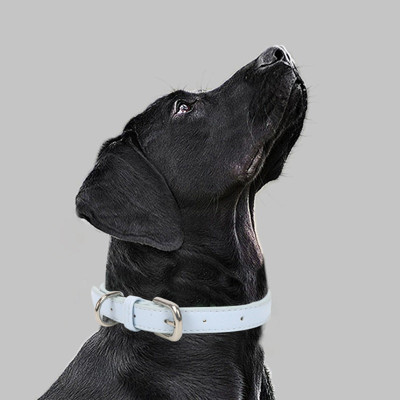 Collier pour chien en cuir pour chiens de taille petite à moyenne avec une corde de traction