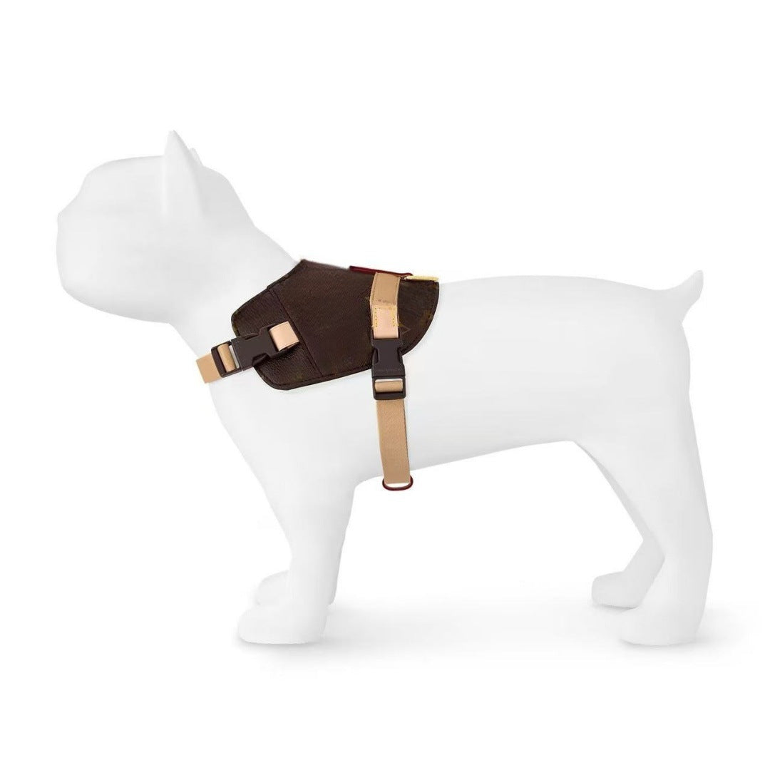 Harnais de mode pour animaux de compagnie de style rue