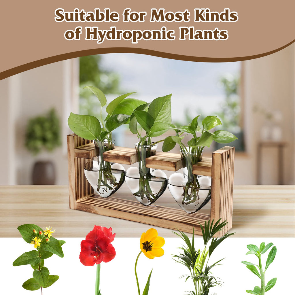 1Pc Station de propagation du terrarium avec 3 vases en forme de coeur Support en bois Bureau Air
