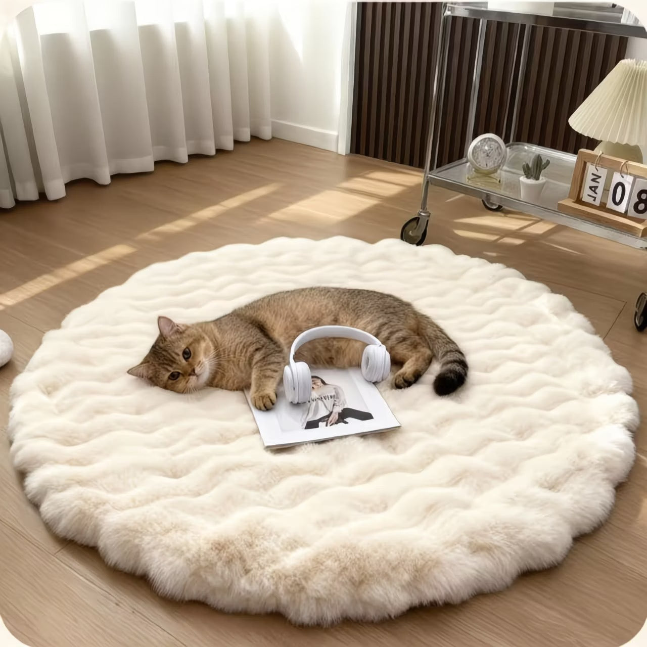 Tapis de chat