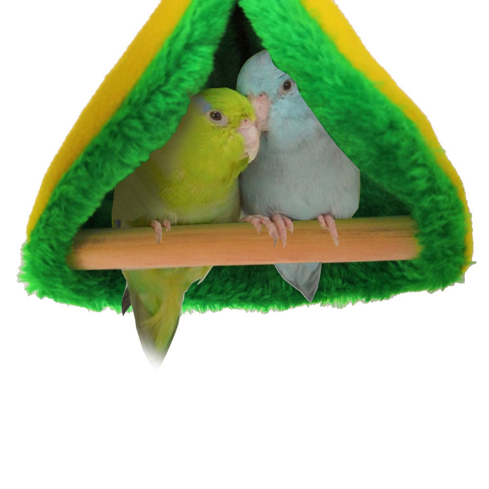 Oiseaux d'hamac nid