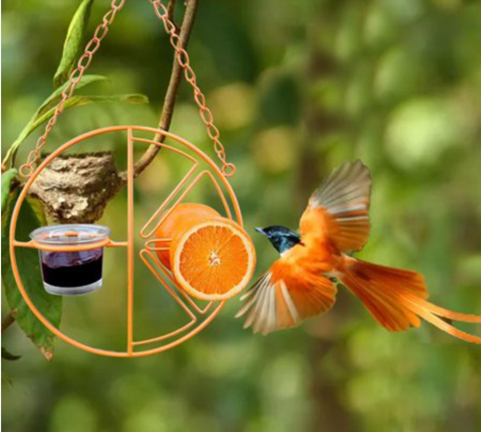 Support métallique suspendu pour l'alimentation extérieure des colibris