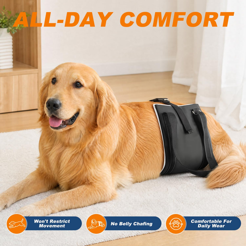 Harnais pour chiens pour jambes arrière