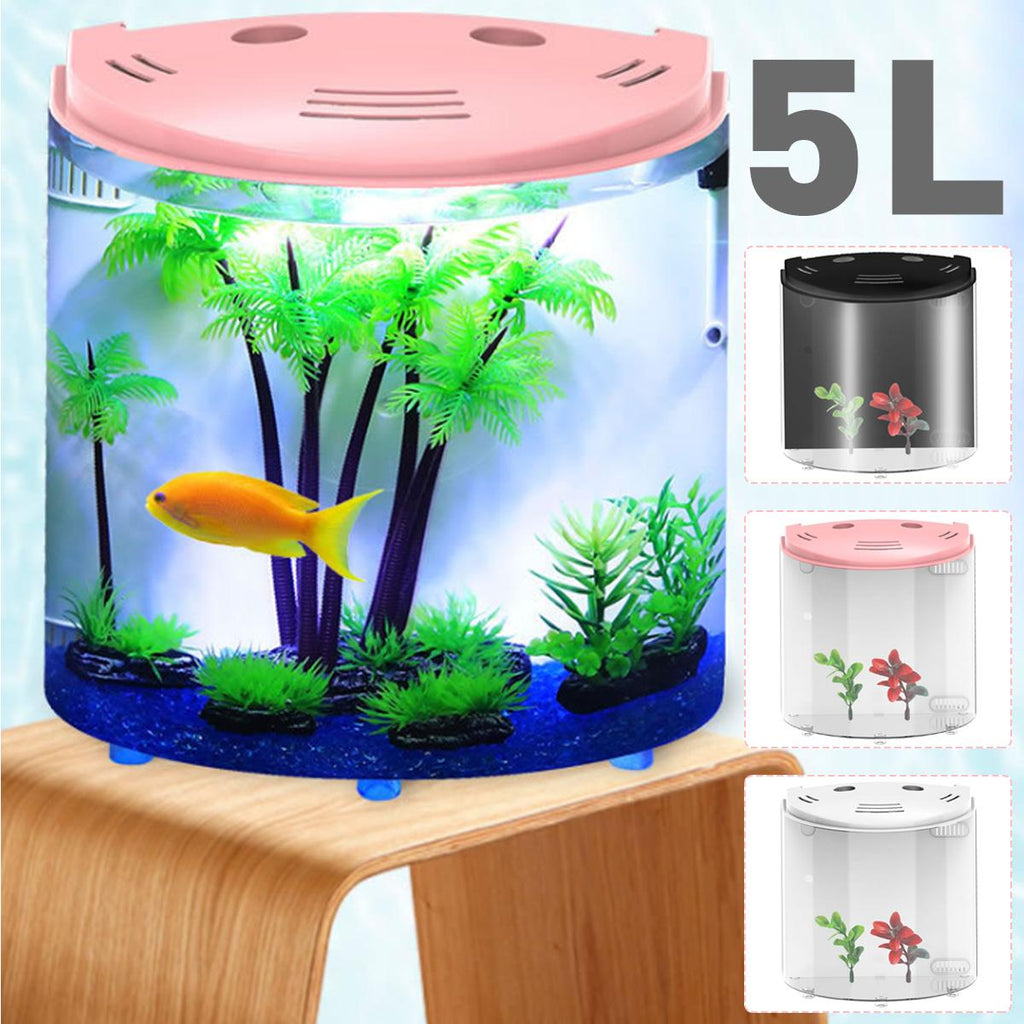 Réservoir écologique de poisson acrylique