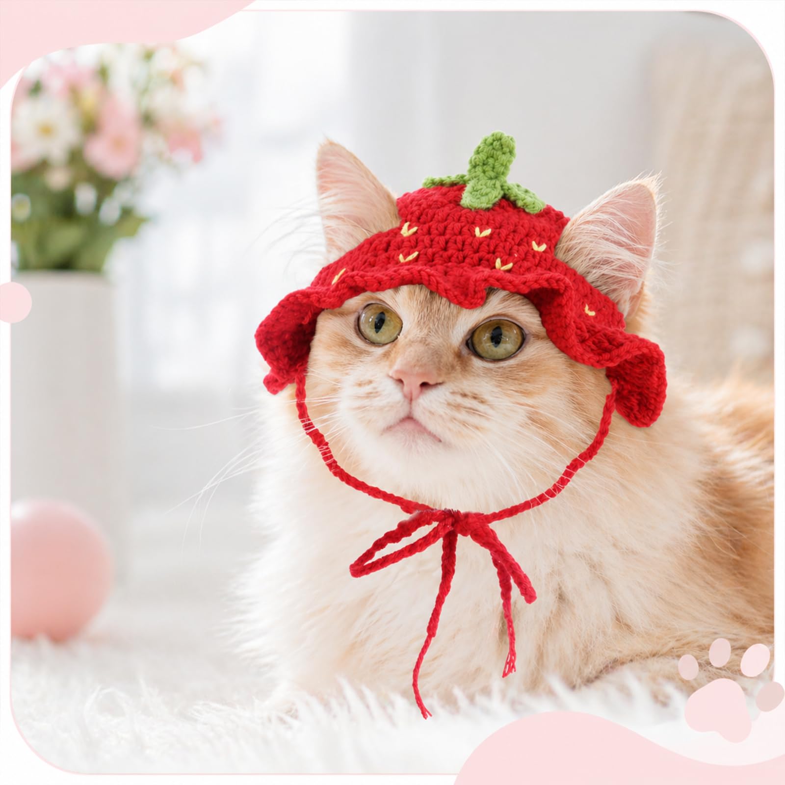 2Pcs Crochet chapeaux de chat tricoté chapeau de chat fraise et grenouille chapeau mignon tricoté chat