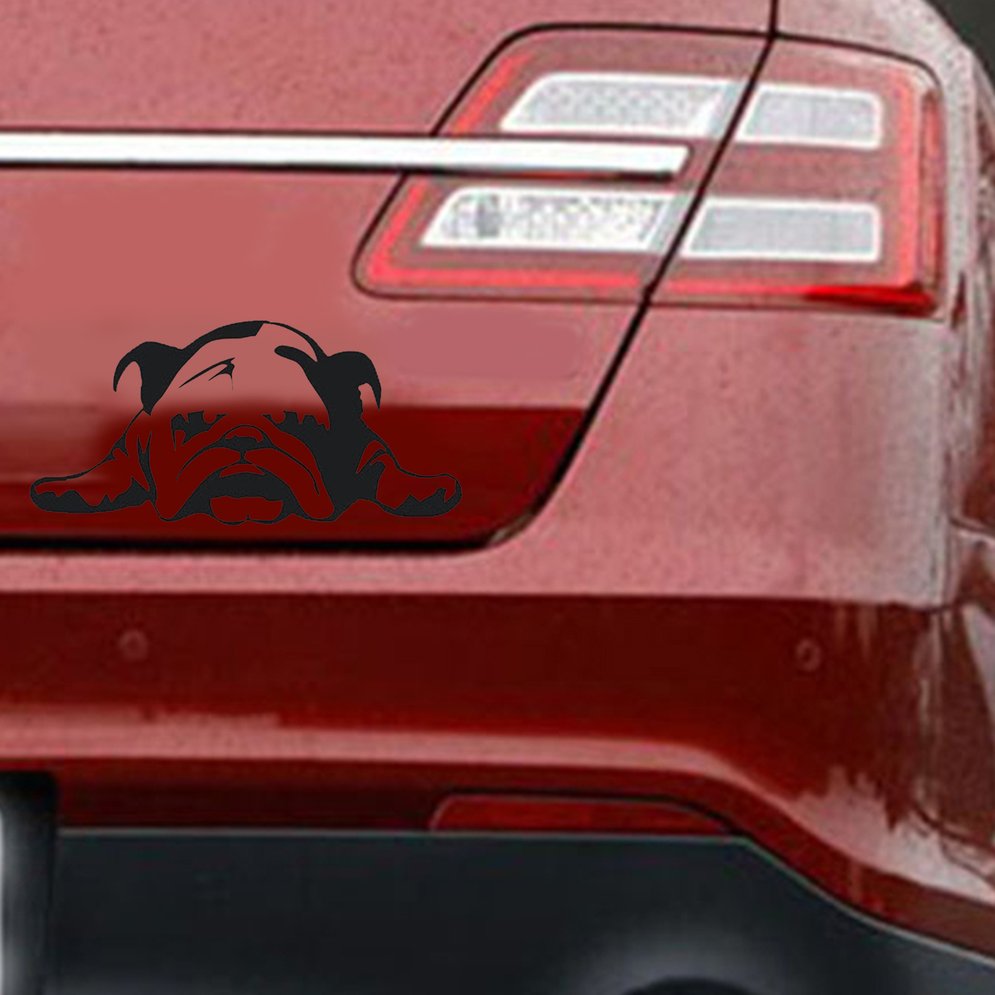 Autocollants de voiture anti-rayures Bulldog