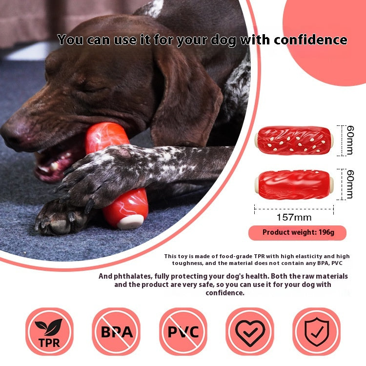 Glue brosse à dents Snack Molar Rod Dog Toy