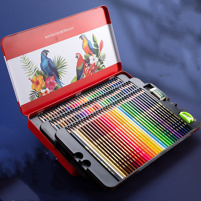 Ensemble de dessin de crayon couleur à base d'huile soluble dans l'eau