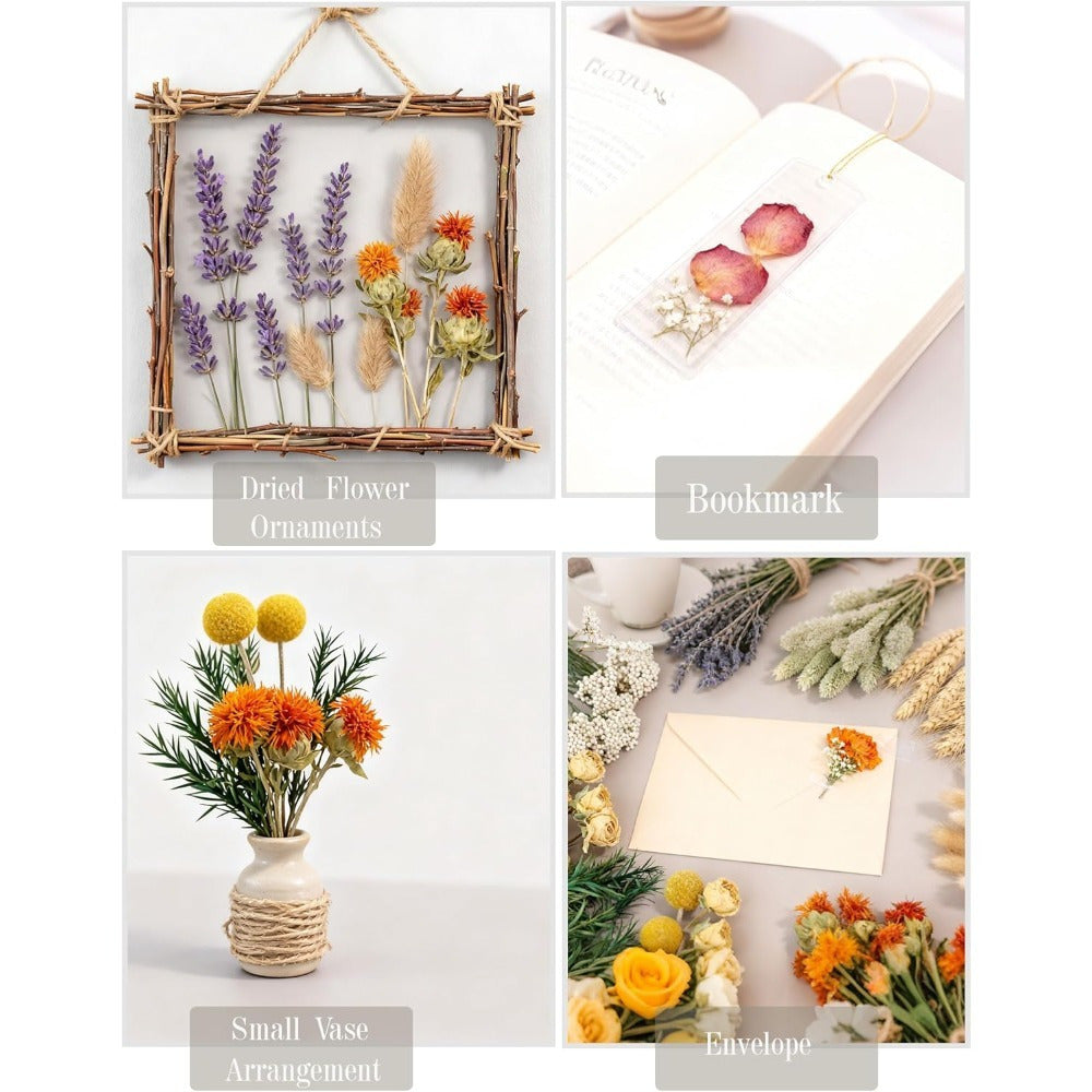 Set de fleurs séchées de 115 pièces en brun