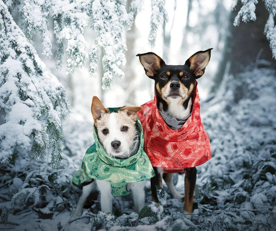 Veste en Coton Grand Chien imperméable à la neige chaude en automne et hiver