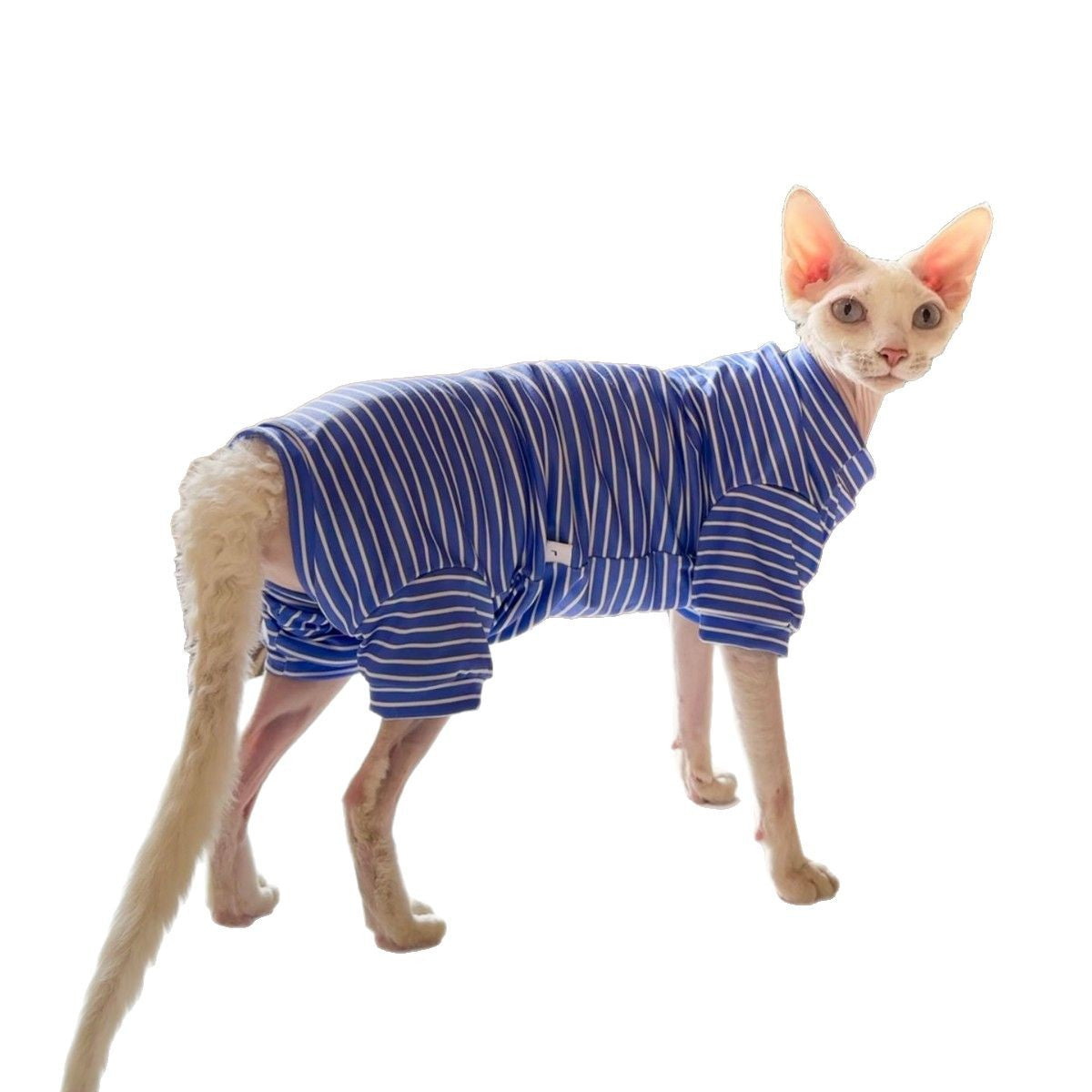 Sphynx Cat été mince respirant rayé quatre vêtements de chemise à pattes pour les chats sans cheveux