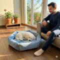 Cat Nest Four Seasons Air conditionné Chambre chaud Kennel Pet Coussin Four Seasons Universal