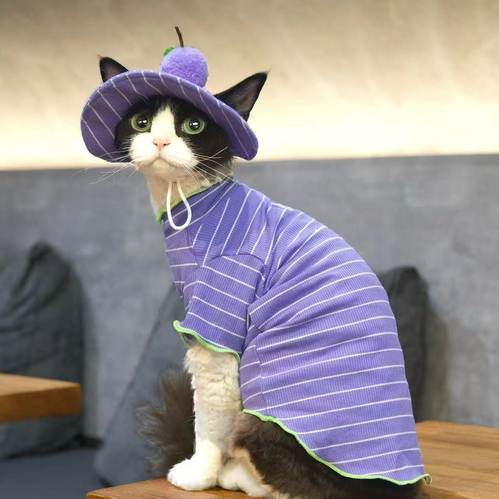 T-Shirt et chapeau de soleil 2 pièces pour chat rayé d'été
