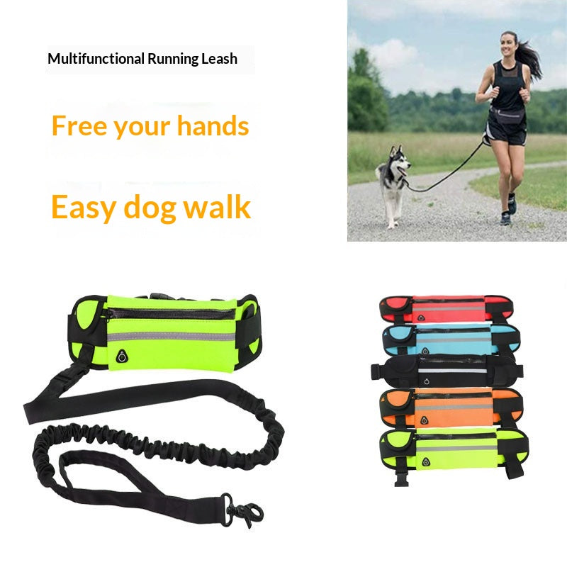 Entraînement pour animaux de compagnie Multi-Pocket Légère laisse