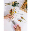 Set de fleurs séchées de 115 pièces en brun