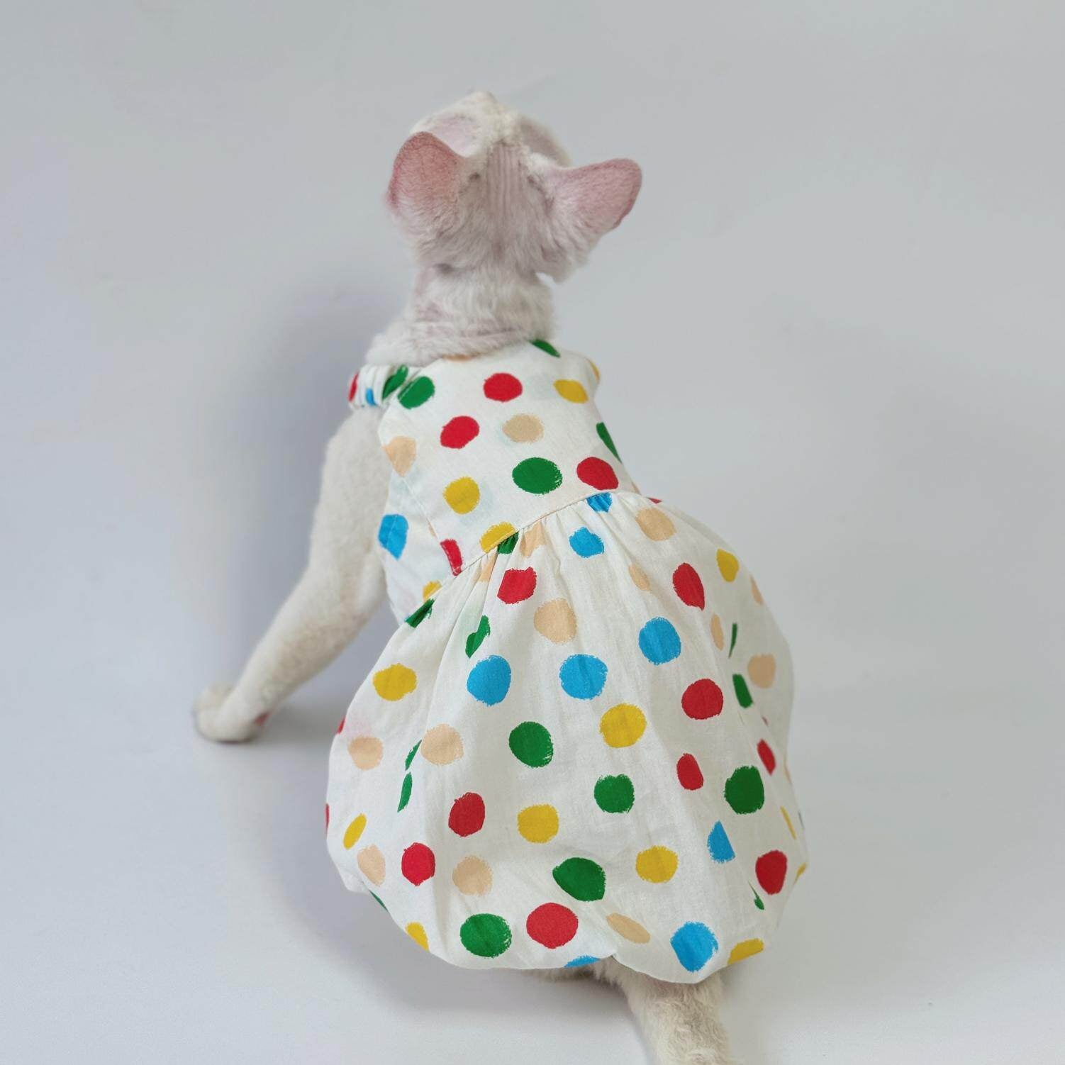 Sphynx Cat Coton Polka Dot Robe Colorée d'été pour les chats sans cheveux