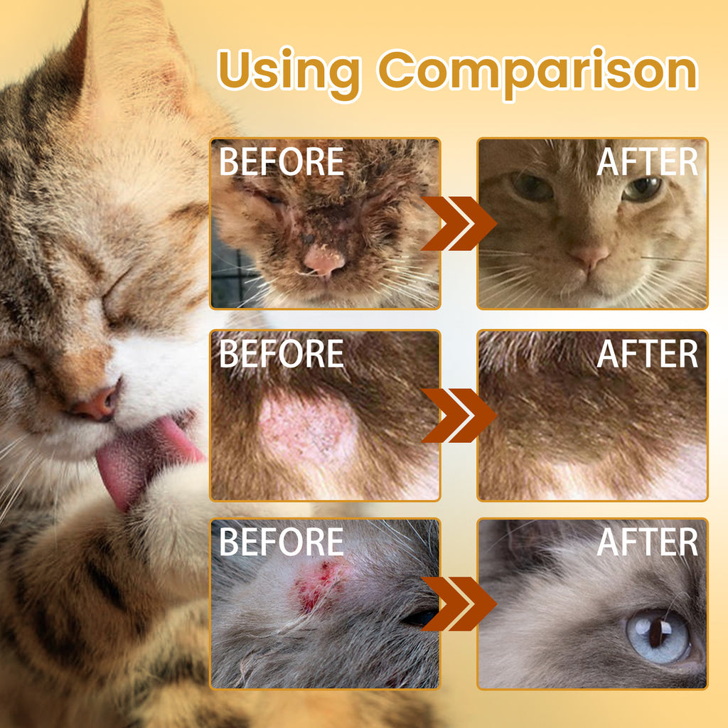 Entretien de la peau et de la plaie pour animaux de compagnie Essence pour le nettoyage et l'hydratation