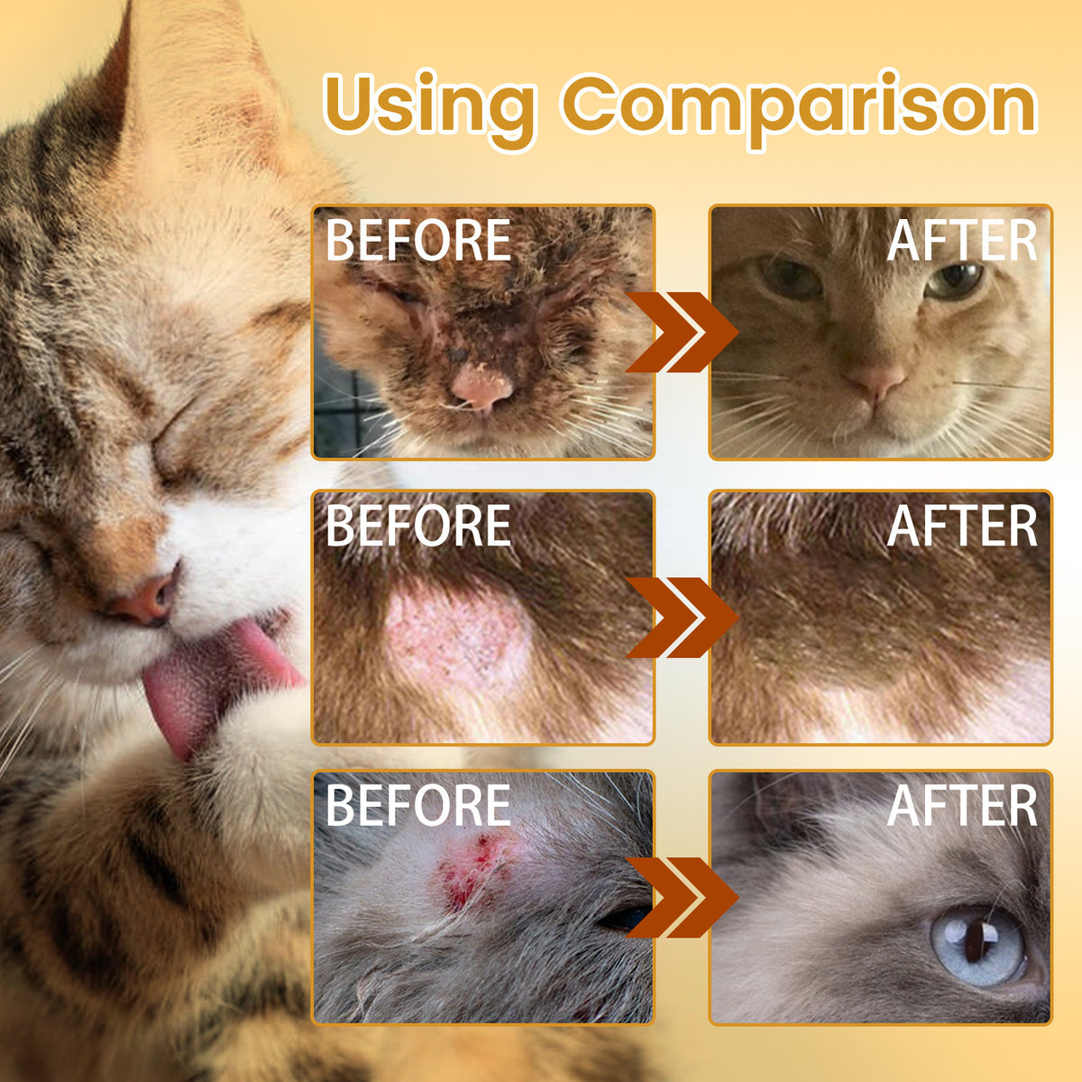 Entretien de la peau et de la plaie pour animaux de compagnie Essence pour le nettoyage et l'hydratation