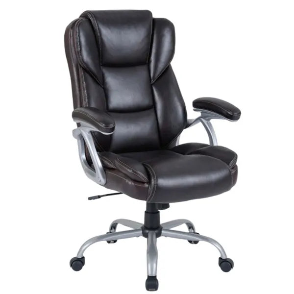 Président du Bureau Exécutif Ergonomic avec dossier en transit