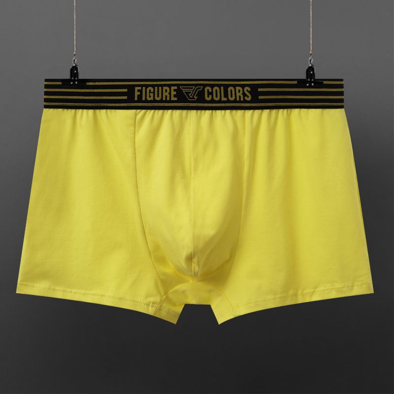 Boxers hommes coton respirant faible taille