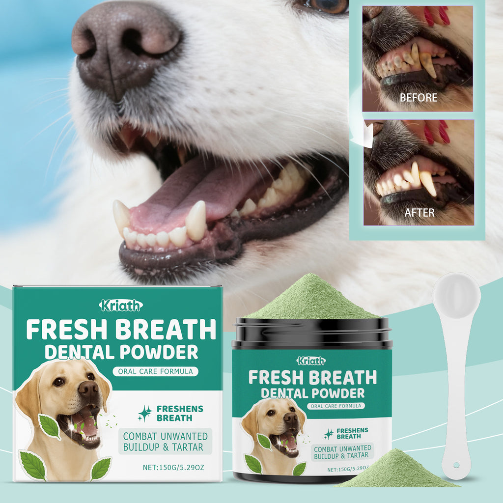 Poudre de nettoyage de dents de chien