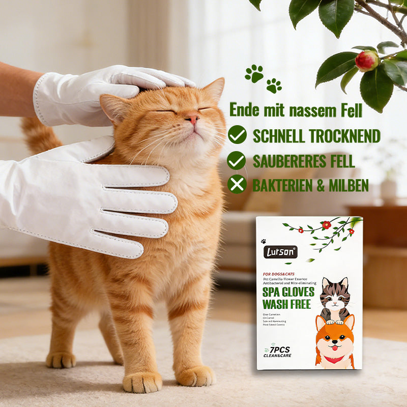 Gants antibactériens anti-poussières pour animaux de compagnie Camellia
