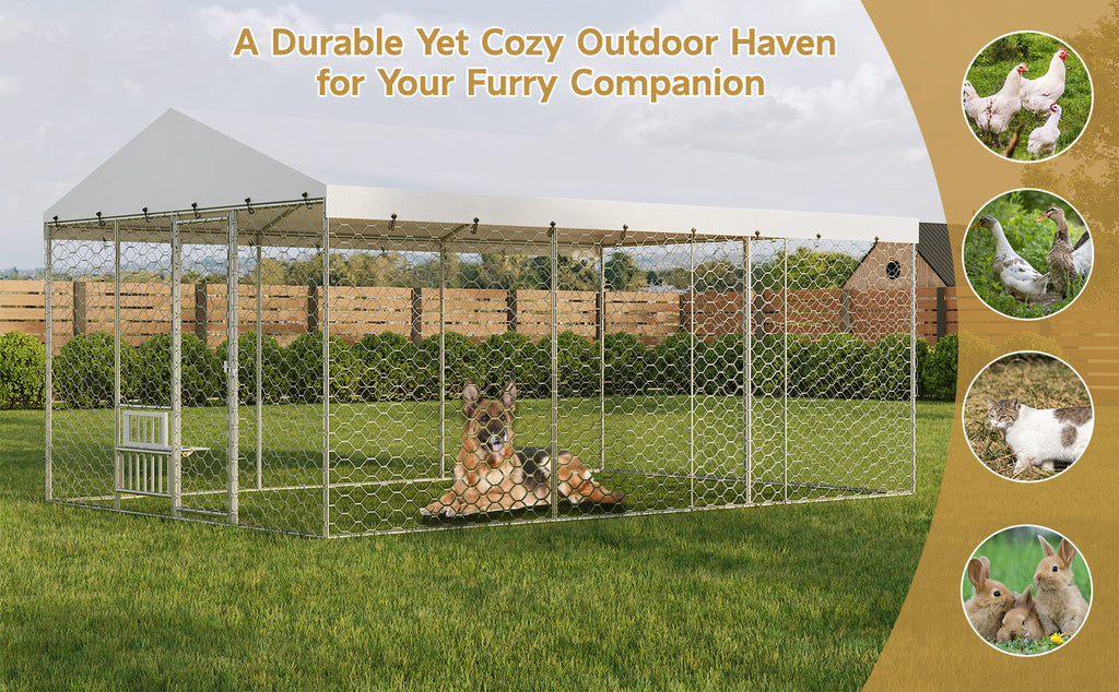 15x10 FT Grand Kennel de chien extérieur avec Canopy
