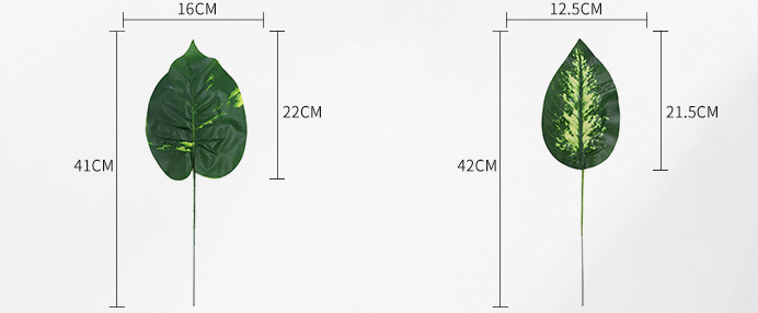 Plante de simulation des feuilles de tortue