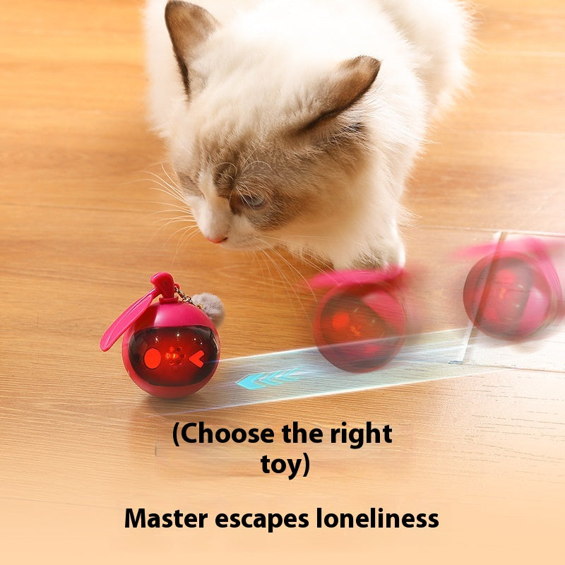 Jouet de chat animal élastique auto-Hi jouet de secours