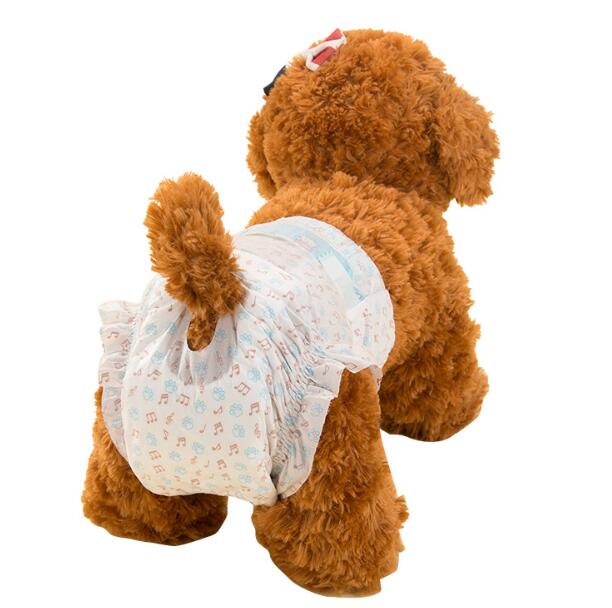 10PCS par sac Couches de chien