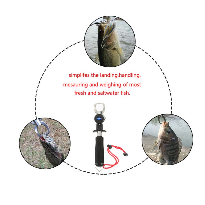 Double doigt en acier inoxydable Mini contrôleur de poisson avec règle et échelle