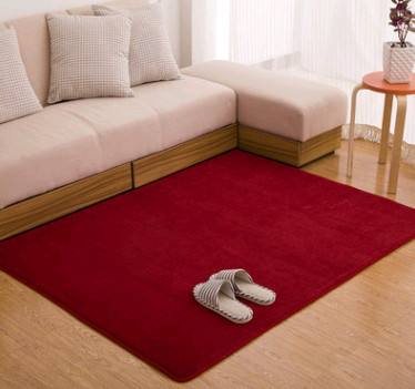 Memory coton corail velours tapis Salon chambre tapis de porte Salle de bains cuisine antidérapante