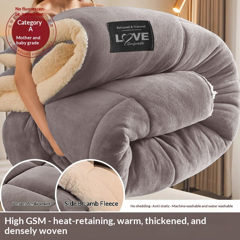Coral Fleece Hiver Comforter