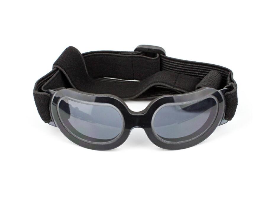 Animaux de compagnie fournitures colorés lunettes de chien lunettes Amazon