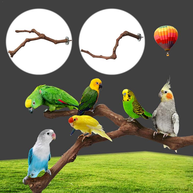 Birds Stick Standing Wild Grape Wood Grinding Stick Perching Stick